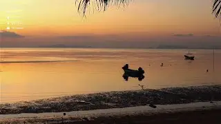 The Last Evening of the Year | Calm Sea in Koh Samui (5 PM – 7 PM)