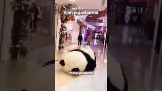 Funny Cute Panda #shorts #panda #lol #funny