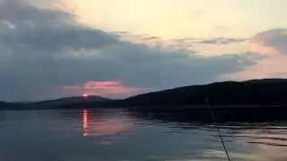Geese on Lake Ouachita Arkansas