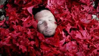 II. Alive - RED - of Beauty and Rage