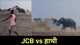 JCB vs Elephant Ka Viral Video: गुस्से में हाथी जेसीबी मशीन से भिड़ गया
