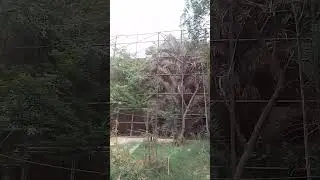 #love #nature #outing #green