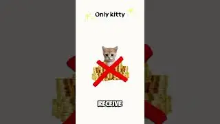 Onlykitty Explained By Cats