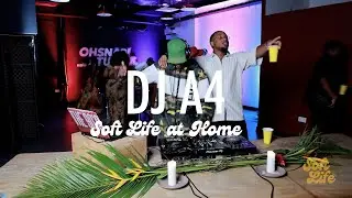 Ultimate Afro Cookout Mix |Afro beats, reggae, hip hop, grime (Masego, Tems, Drake | DJ A4 |SLH25