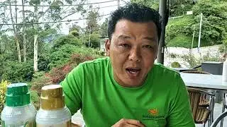 English Successmore plan Y. K Lew +60132947639