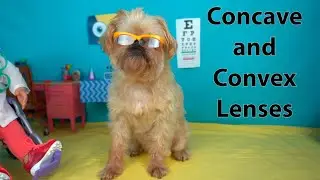 Concave and Convex Lenses