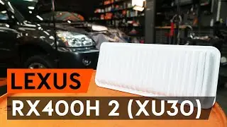 Hvordan udskiftes luftfilter on LEXUS RX400h 2 (XU30) [GUIDE AUTODOC]