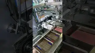 Cartoning machine