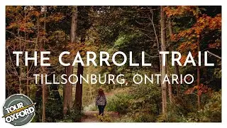 THE CARROLL TRAIL: Easy, scenic hiking through a golf course and the woods  in Tillsonburg, Ontario