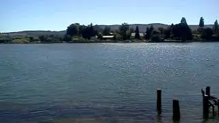 MOV391