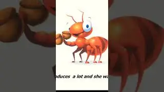 Ant