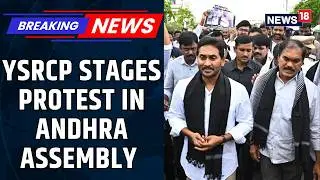 YSRCP Carry Placards, Raise Slogans Demanding Their Party Be Given Opposition Status | News18