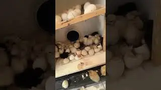 ٦ ديسمبر ٢٠٢٥