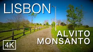 MONSANTO - ALVITO - Sunny Walk in the Park - LISBON, Portugal 2021 [4K 60fps] ASMR