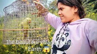  Beautiful village🛖🛤️ll The most beautiful village in the Earth 🌍🌞