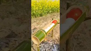 Bamboo Egg Omelette Recipe || Rjcookasmr ||Lays Omelette #shorts Lays Omelette