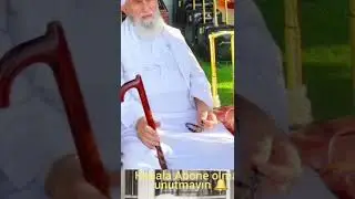 Allah Dostları
