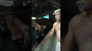 സക്കീർ ഫാം പൊന്നാനി മാറഞ്ചേരി