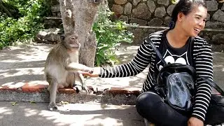 Thank You Girl, She Coming To Give Food  Monkeys Everyday, Abigail Honey To Receive Food