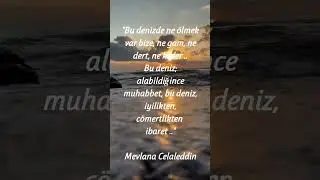 Mevlana Celaleddin 🥀 #şiir #sevgi #mevlana #şemsitebrizi