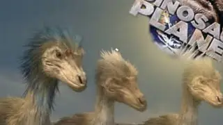 Dinosaur Planet - Velociraptor mongoliensis