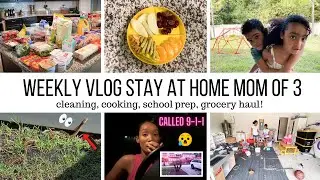 SINGLE MOM OF 3 WEEKLY VLOG// CLEANING,COOKING,SCHOOL PREP, GROCERY HAUL// AND A SNAKE!