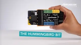 The Hummingbird Bit