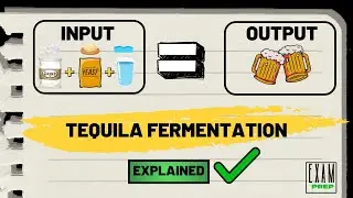 Tequila Fermentation | EXPLAINED | Exam Prep