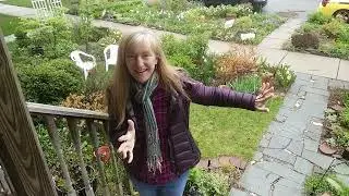 Build a Pollinator Habitat