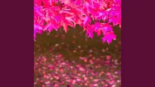 Smooth Jazz Guitar Soundtrack for Jazz Scapes