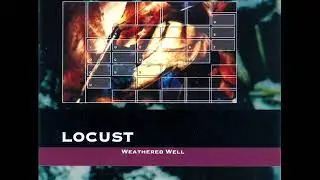 Locust   Moist Moss