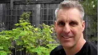 Reasons Why Spiritual Research Network (SRN) Is Important - Chris Lawson