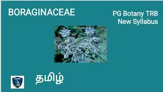 Boraginacese in Tamil |Taxonomy and Systematics | Botany I PG TRB New Syllabus