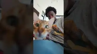 I Bought a Rare Exotic Cat 😬