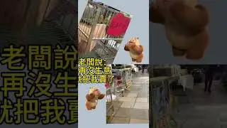所謂生活不如意，就是缺少新台幣，老闆說生意再不好，就把我賣#擺攤日常 #台中 #田哥無骨鳳爪