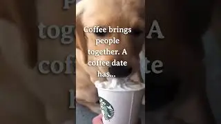 About coffee 💪. Like&subscribe #dogs #coffee #dogshorts