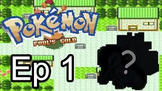 Pokemon Fool's Gold Episode 1: Toad Voice (w/ Evan)