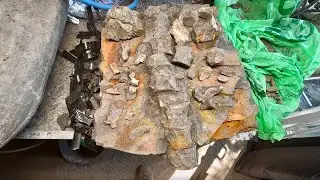 Cleaning A Plesiosaur Skeleton! (Loch Ness Monster)