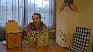 What You Should Know Before Buying the Ceramic Flower Vase 7.5 inch Farmhouse Rustic Vase  W9564