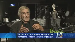 Actor Martin Landau Dead At 89