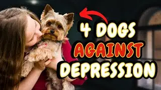 4 AMAZING DOG BREEDS TO HELP FIGHT DEPRESSION | DISCOVER YOUR PERFECT COMPANION!