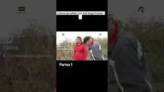 Cultura de sofran in Romania/Partea 1