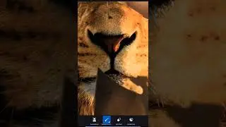 Tiger 🐯 Face Editing #short#viralvideo #photoediting