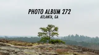 Photo Album 272: Arabia Mountain w/ TTArtisan 50mm f0.95 | Olympus E-M1 Mark III Micro Four Thirds