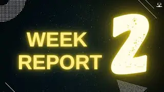 Week Report 2 Spring 24