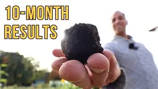 Johnson Su Bioreactor Compost 10-month Update  &bull; Ep. 67