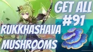 How Get All #91 Rukkhashava Mushrooms Locations - Farming Route : Genshin Impact