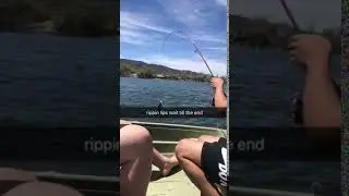 Fish Fail Compilation August 2018- $200 Setup Giveaway