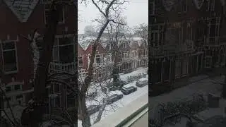 The First Week of January Begin Snow