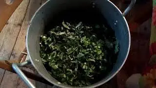 Заготовка для зелёных щей на зиму